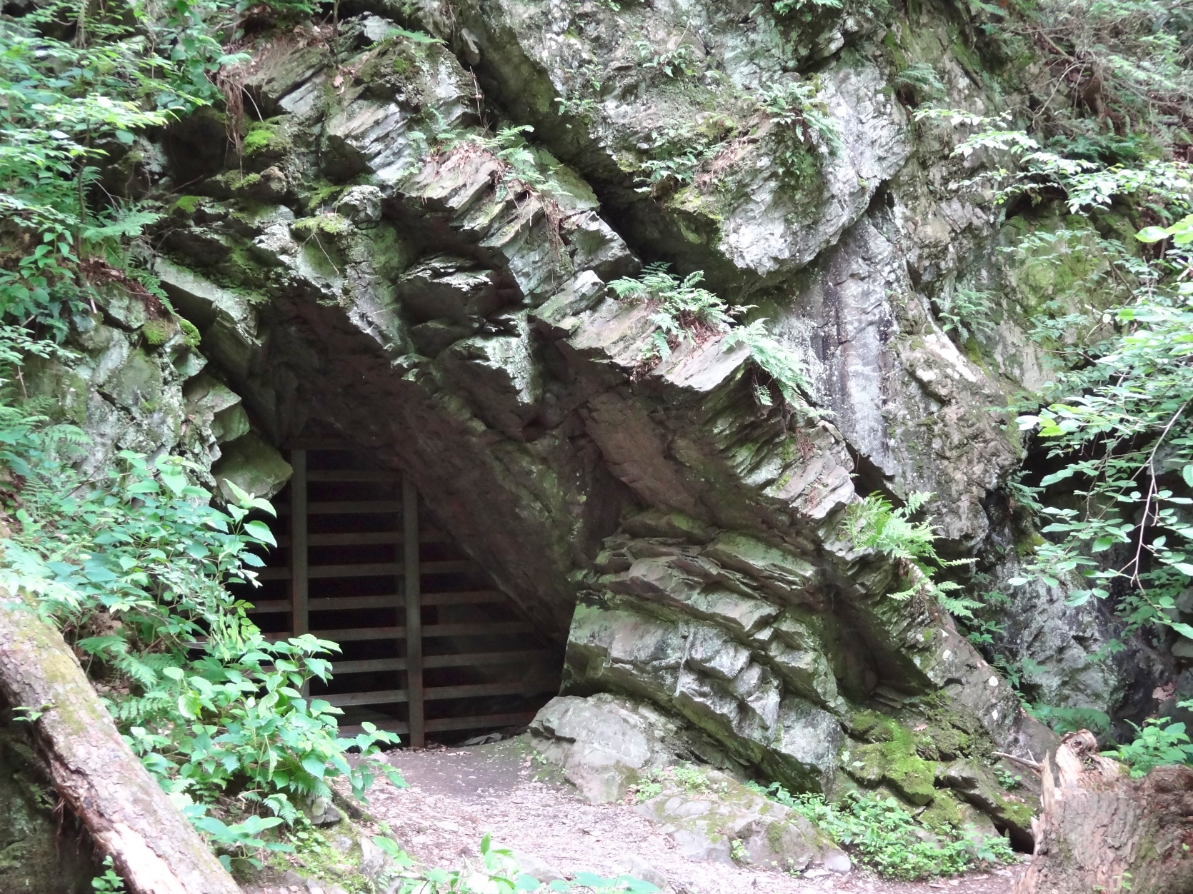 Adit Number 1 at the Pahaquarry Copper Mine